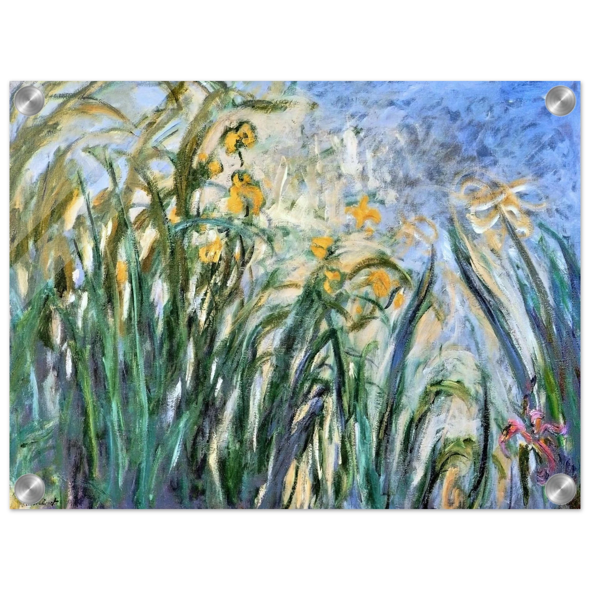 b1a83a98-bfdc-4215-9f1d-eee016a3f007