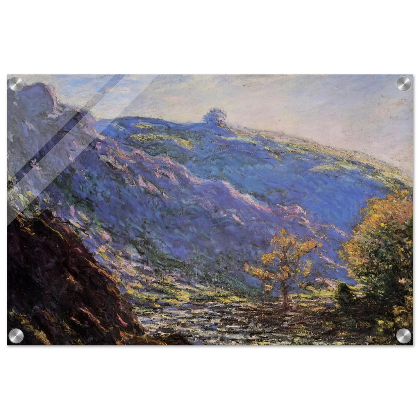 b1df8c81-1fdc-4e2b-9869-d316bccd759f