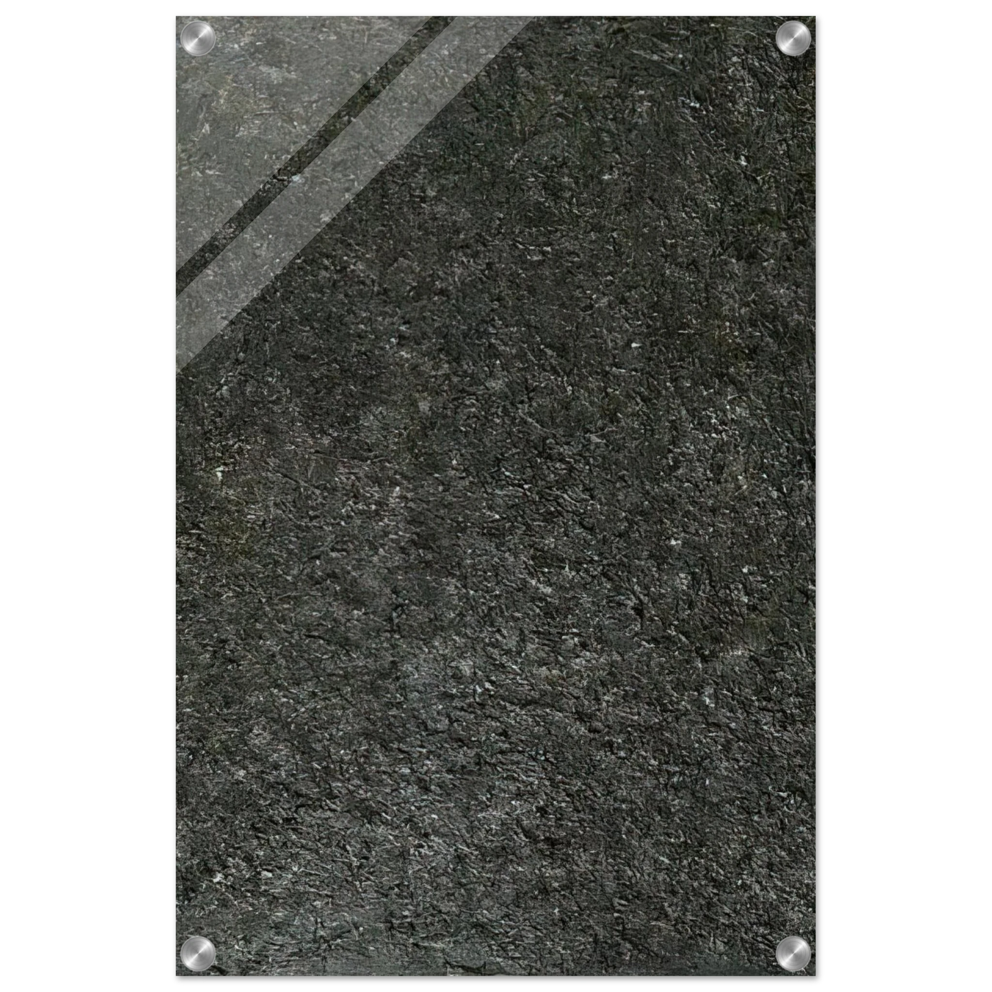 b38d503d-f849-481a-8f28-09a7f07cd2ad