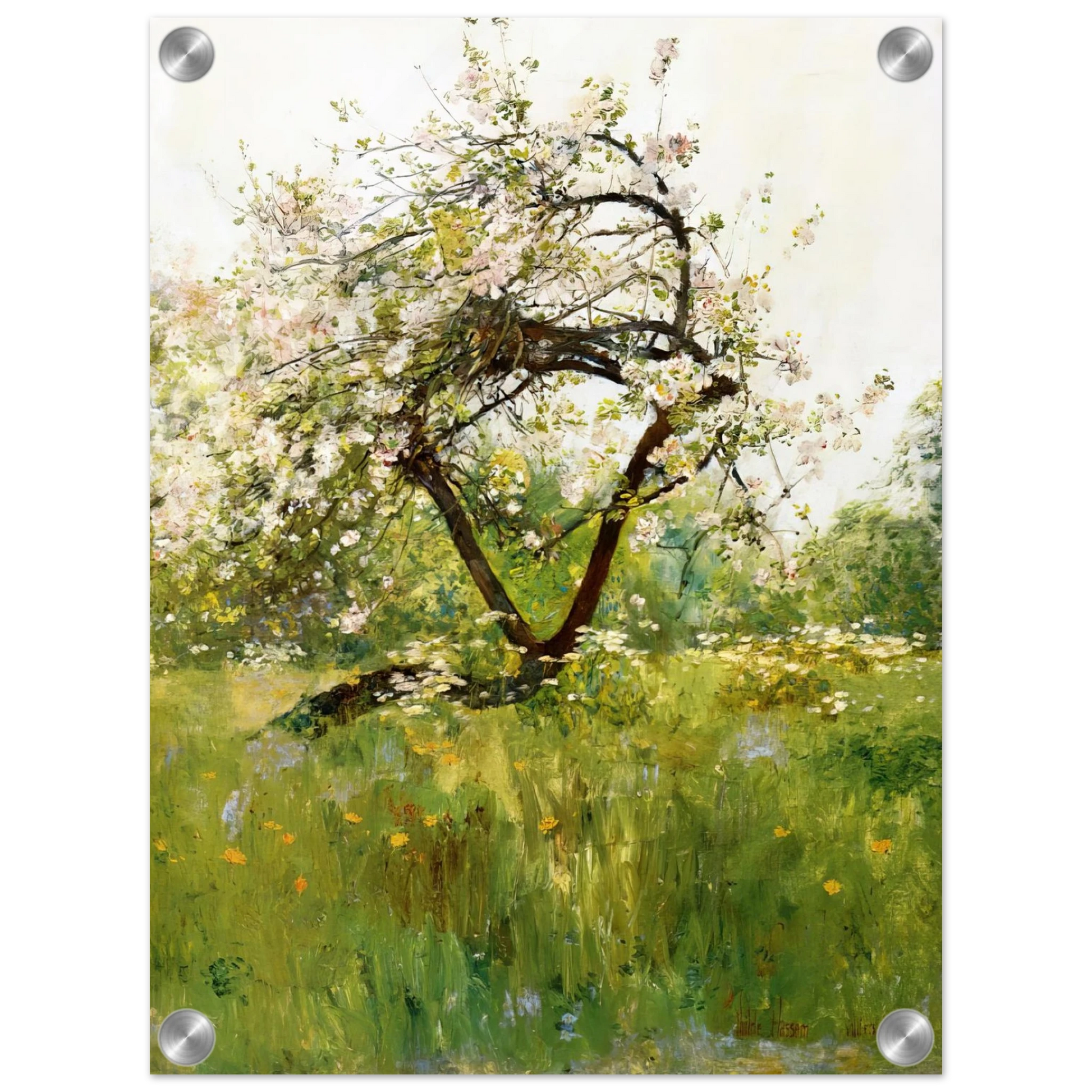 b4ae6952-9b74-4e63-8397-ba410ff987b4