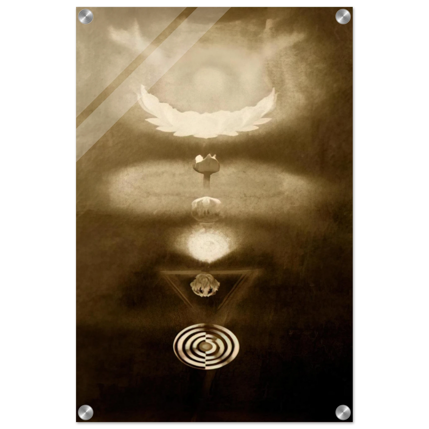 b4e836b2-3202-4ee6-80a5-33c89fcc43ca