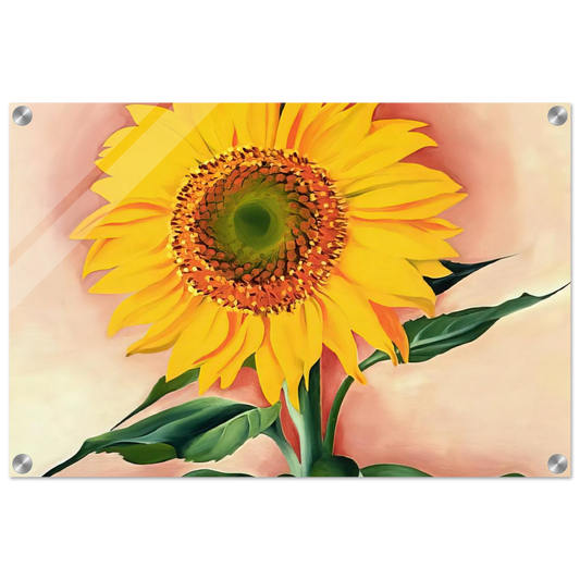 b53e0f8b-7f6a-4cc3-890b-cfcec4d2fd04