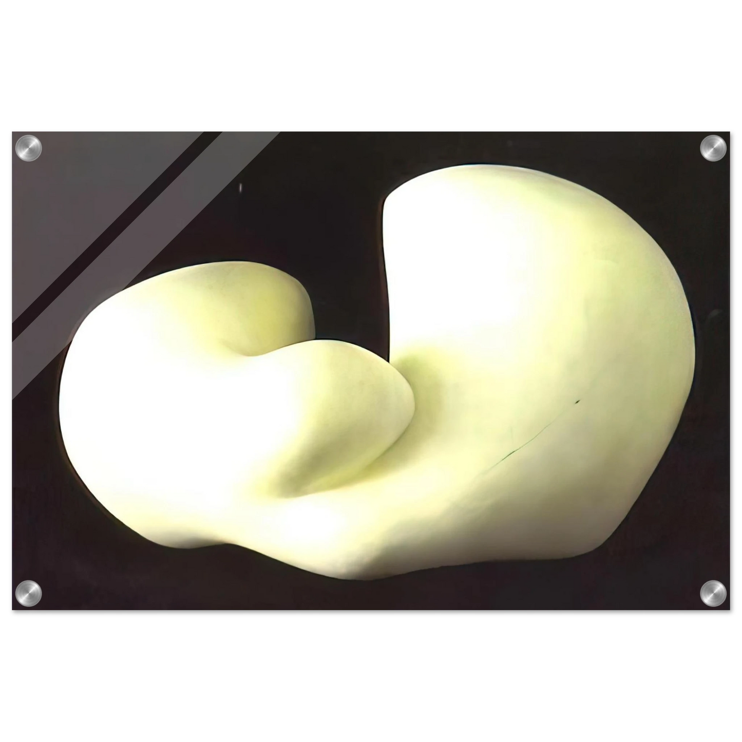 b5412eae-1d81-4a7b-92a4-9524d82921da