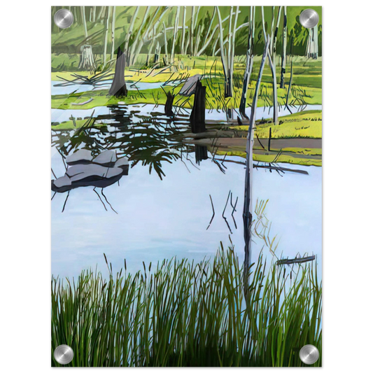 b5c500f0-4ad2-45ab-b6dd-d45653e888cf