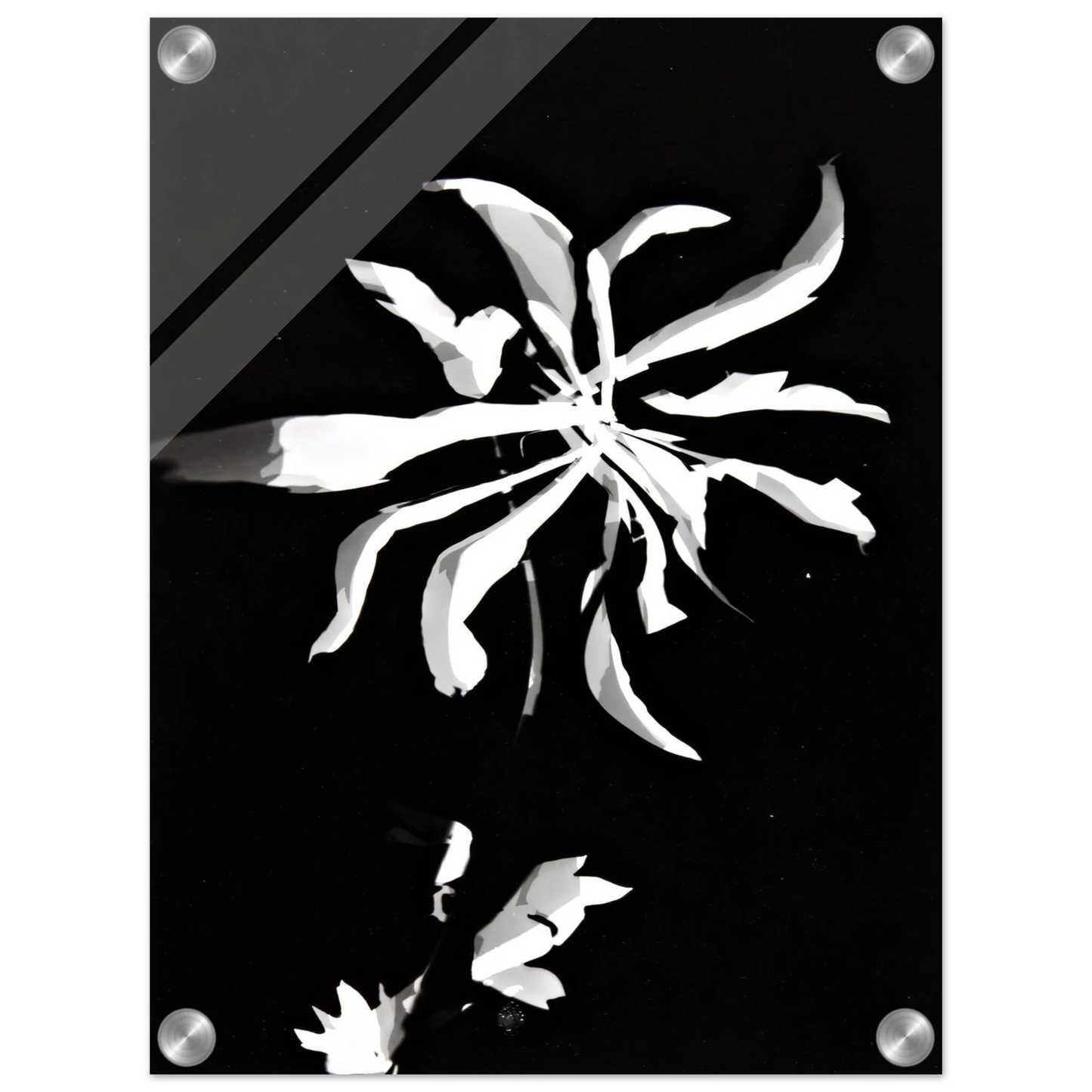 b8aee5e9-0c6c-4ef6-ad94-b2b4935c93f4