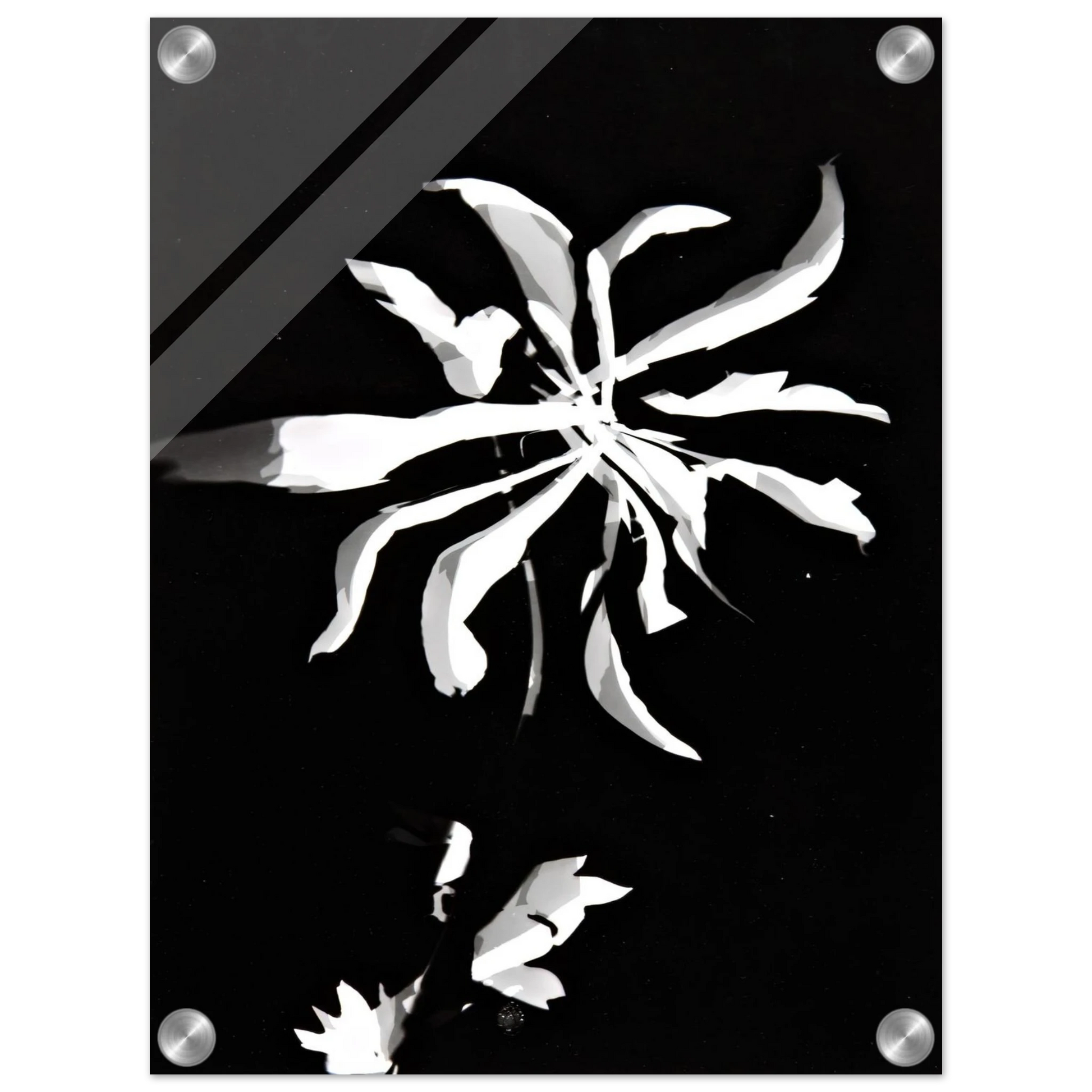 b8aee5e9-0c6c-4ef6-ad94-b2b4935c93f4