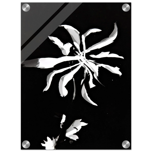 b8aee5e9-0c6c-4ef6-ad94-b2b4935c93f4