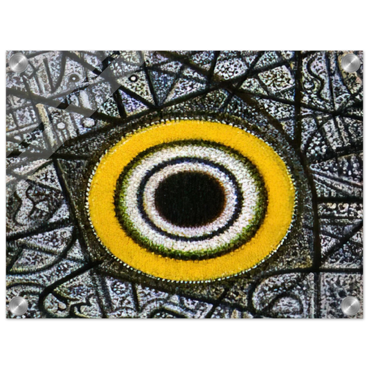 b8b831b4-621b-4ffb-a377-badf4a54a309