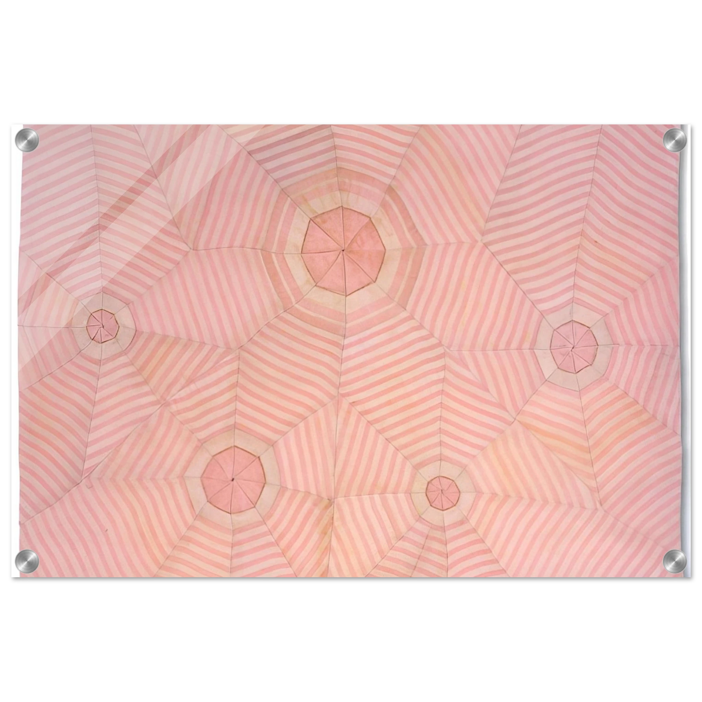 b8ce48db-600f-47e1-a244-6e61623a5d56