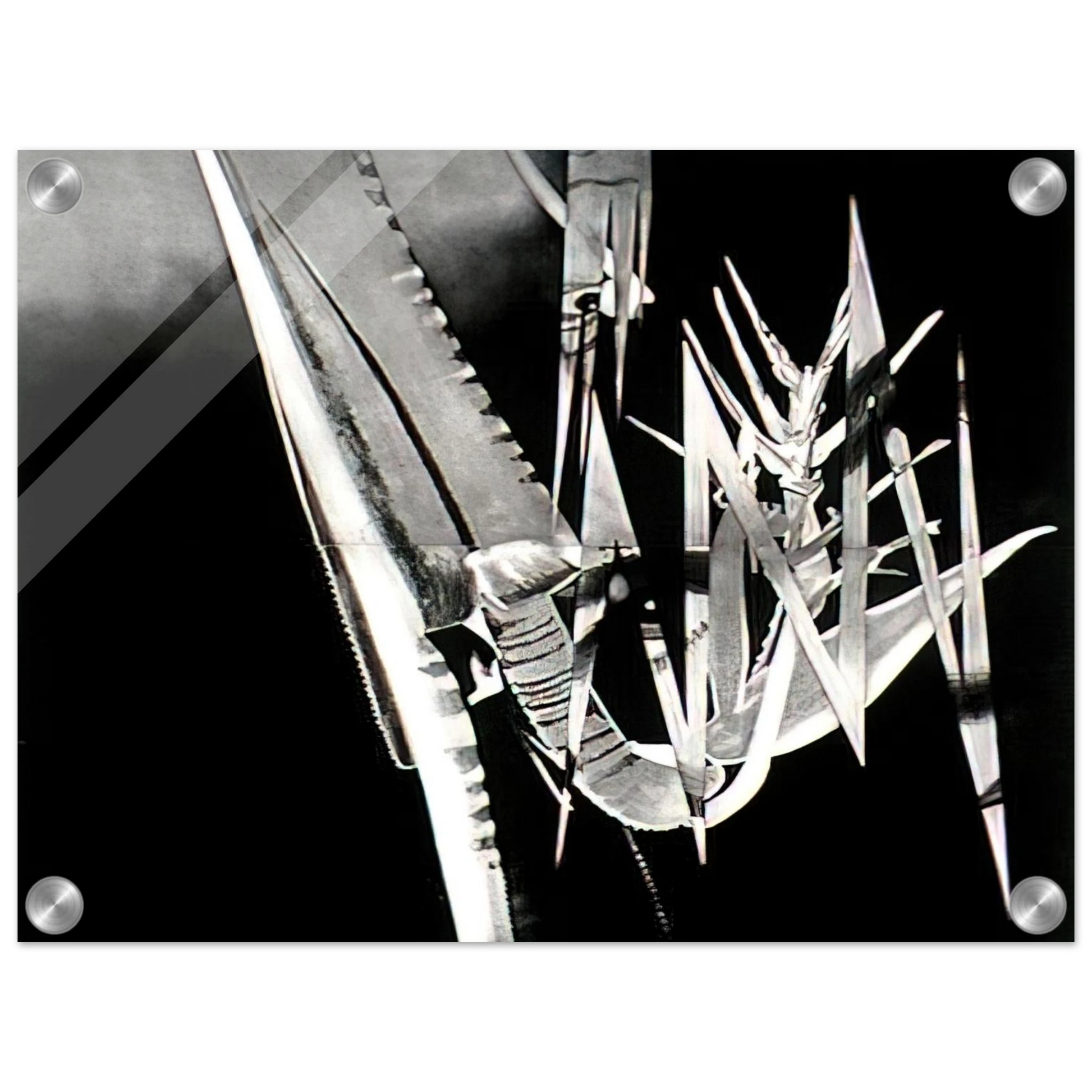 b9e67ff1-a187-4ae9-821c-15ab34b173aa