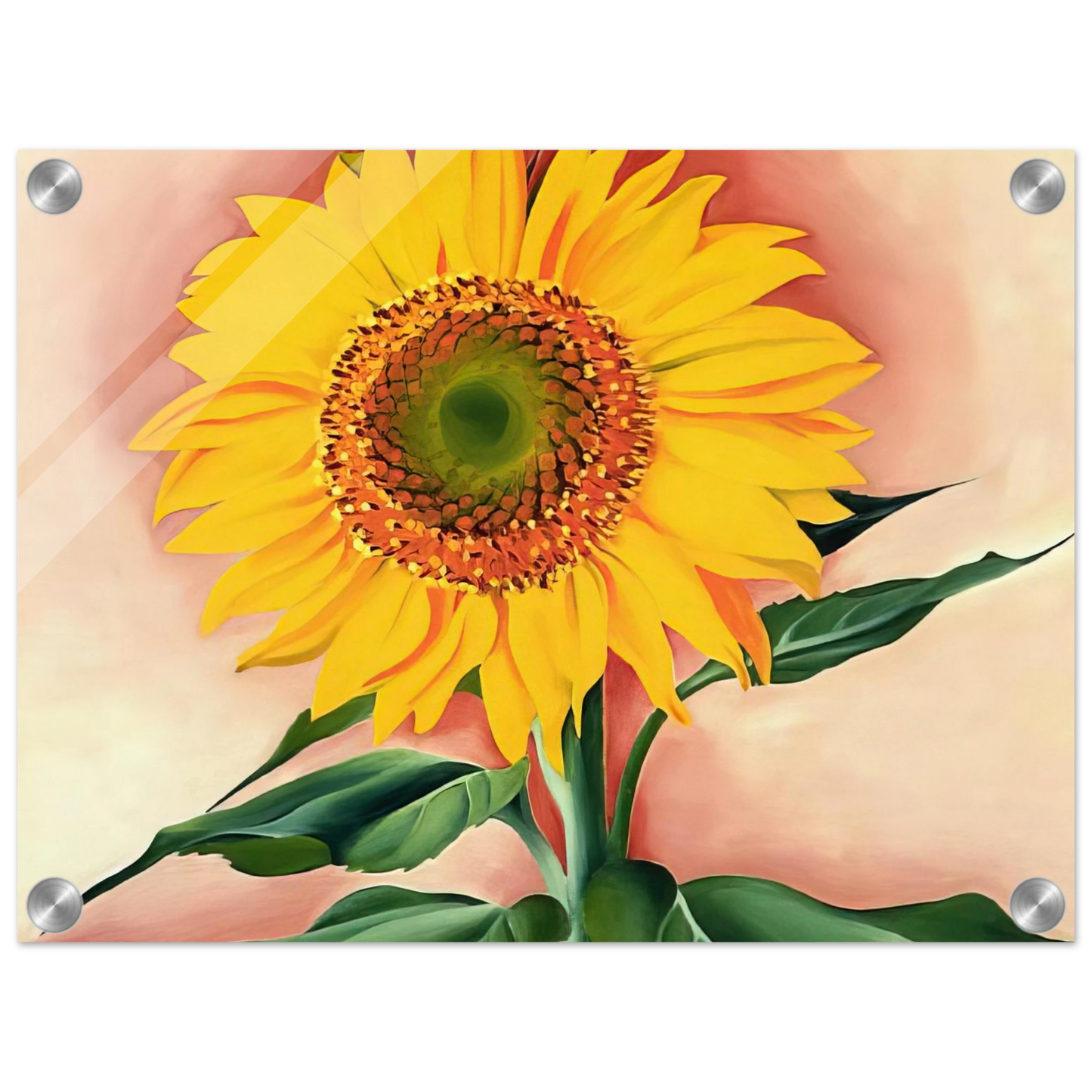 ba3843ef-4b82-4b74-9316-31ea7ab64752