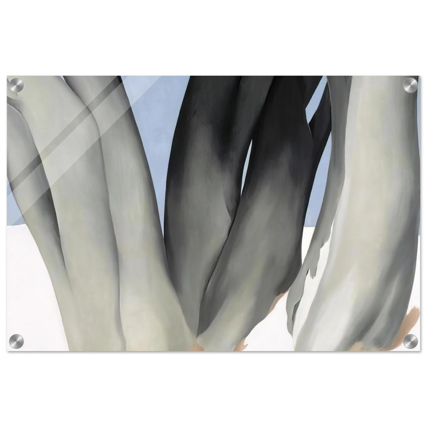 baf0b379-78bc-4d63-8062-651097b87ce2