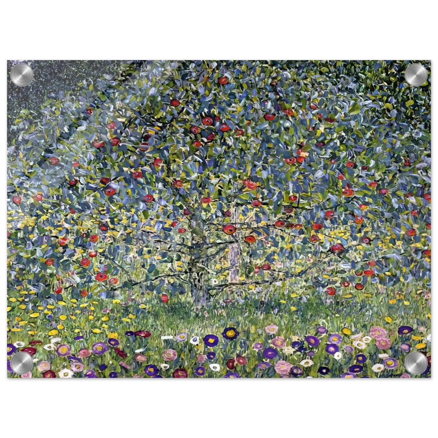 bb23254d-b17a-47ab-950d-b4e6a2dab8e4