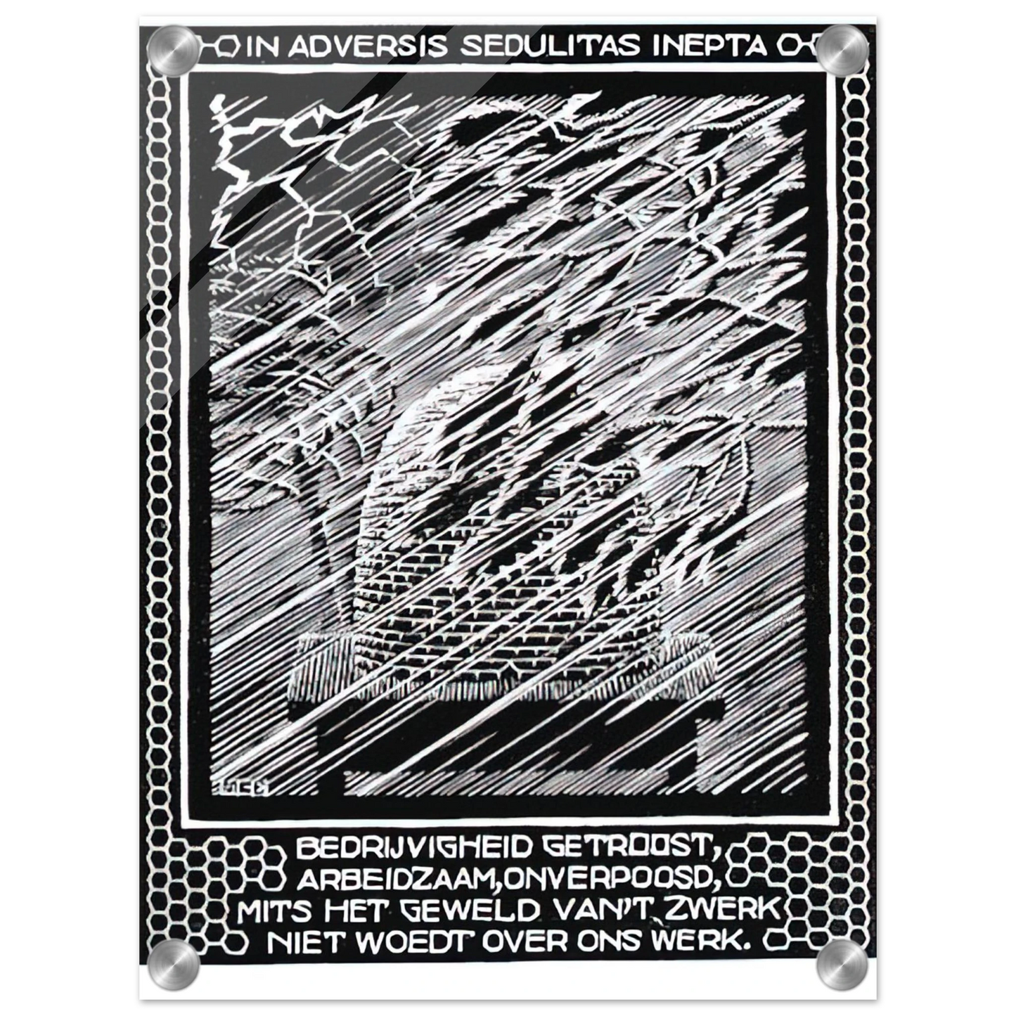 bbcba69e-9083-4d80-94d4-5d58466ceb5d