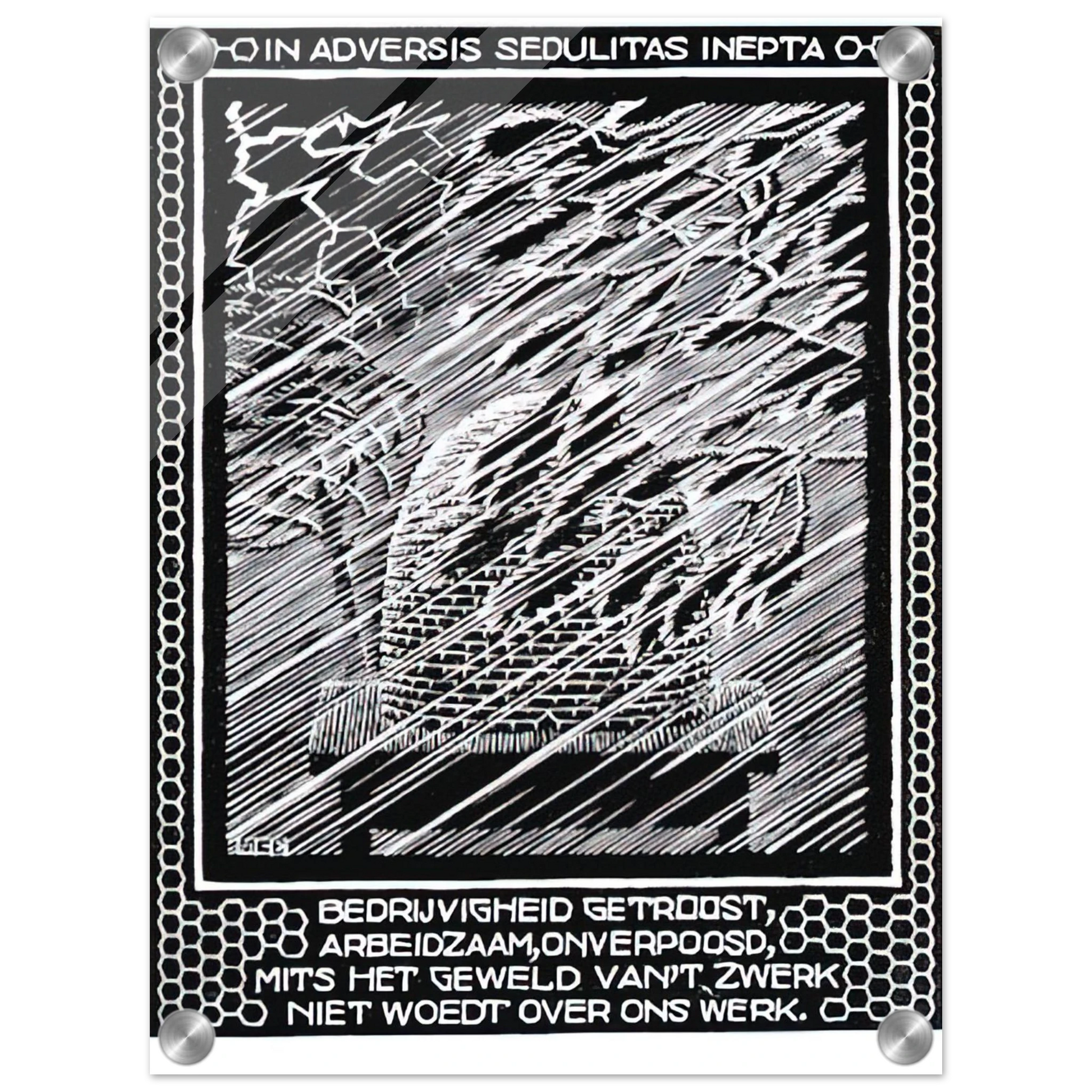 bbcba69e-9083-4d80-94d4-5d58466ceb5d