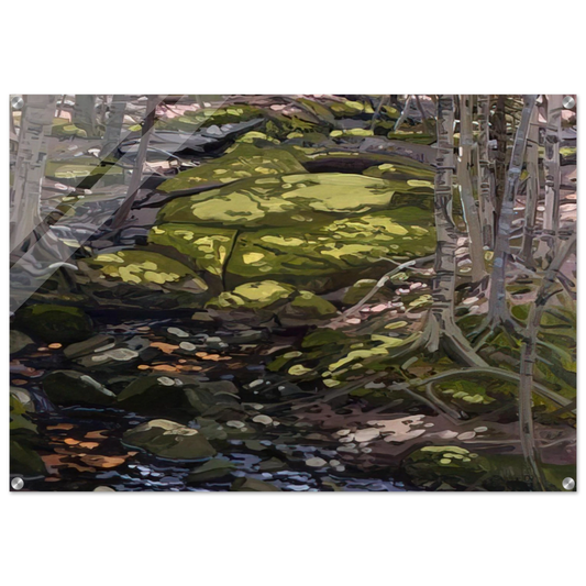 bc6c9dbc-bd63-46ed-ac7e-b86697dda76a