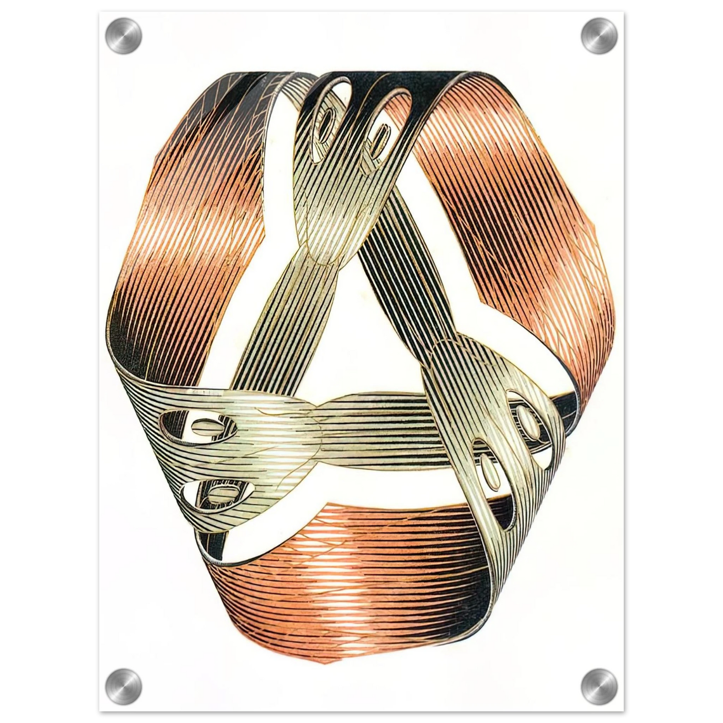 bcff7666-e475-436b-82d9-425969cabc86