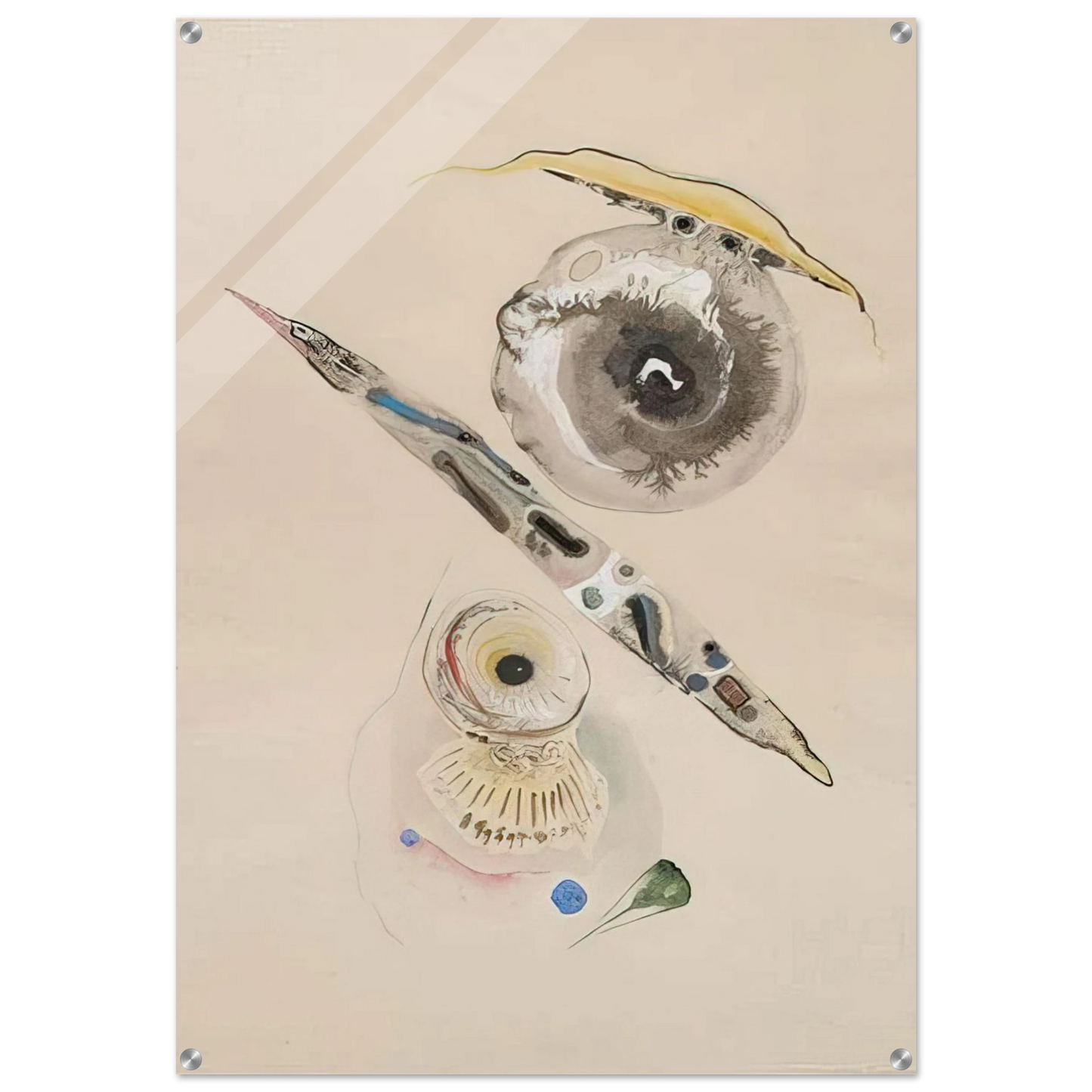 bd75b680-e670-4438-bf2e-752902475ee2