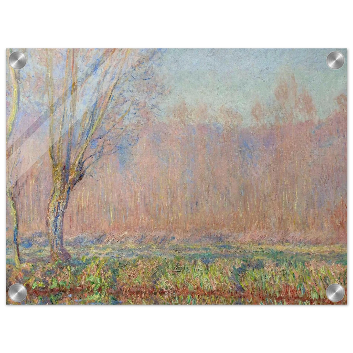 beef88a1-ebc1-4f3c-89c6-094eb644e84e