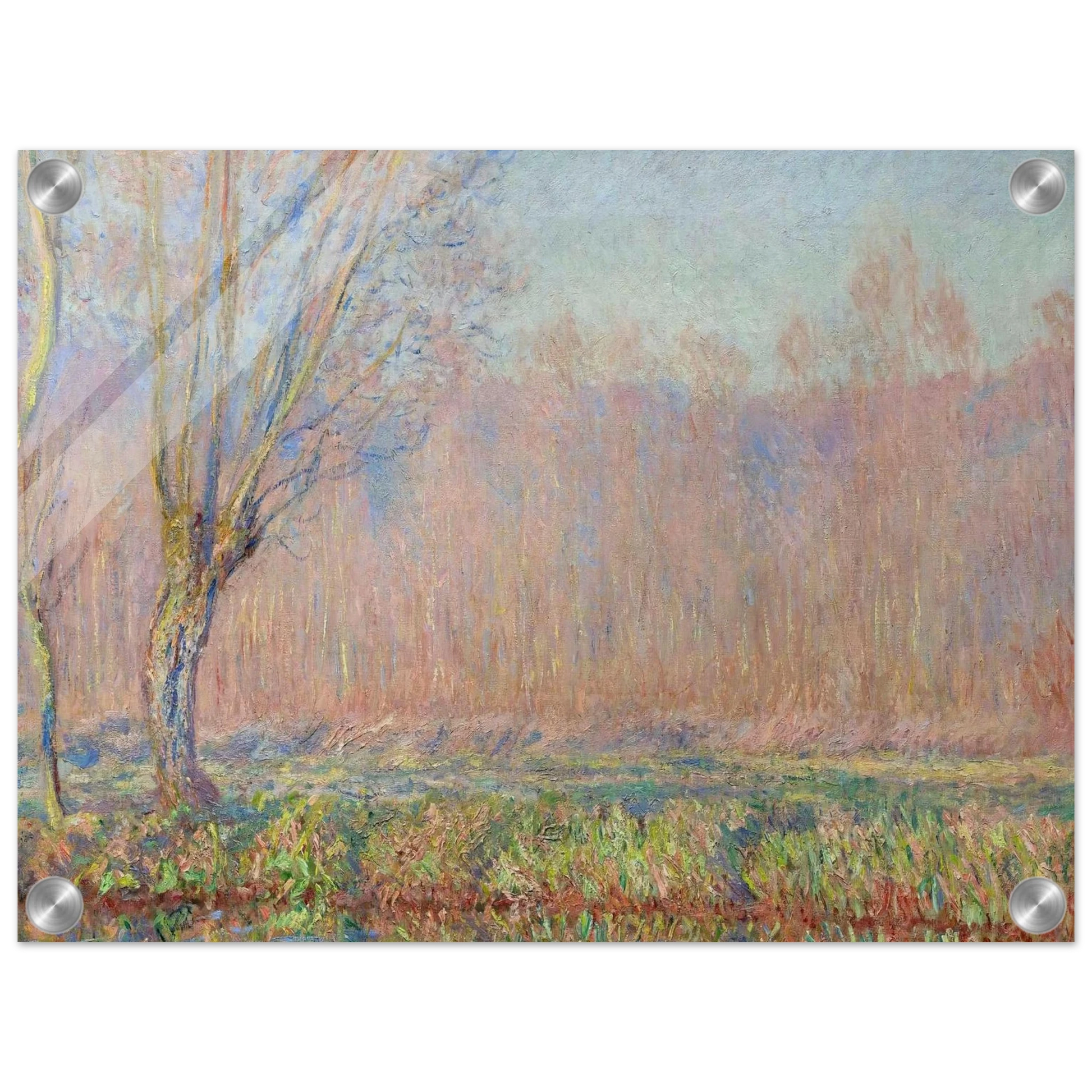 beef88a1-ebc1-4f3c-89c6-094eb644e84e