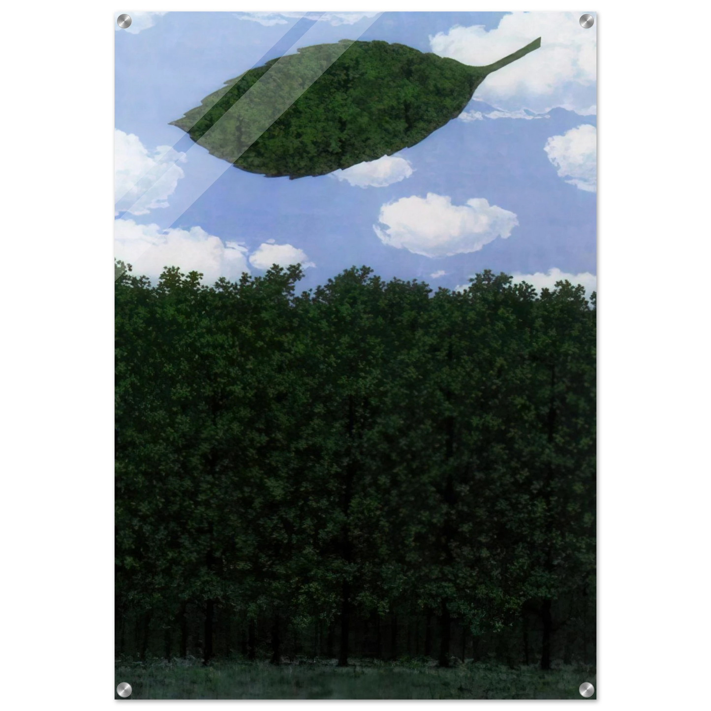 bf894693-8f37-42b3-a9e5-a93075e16a48