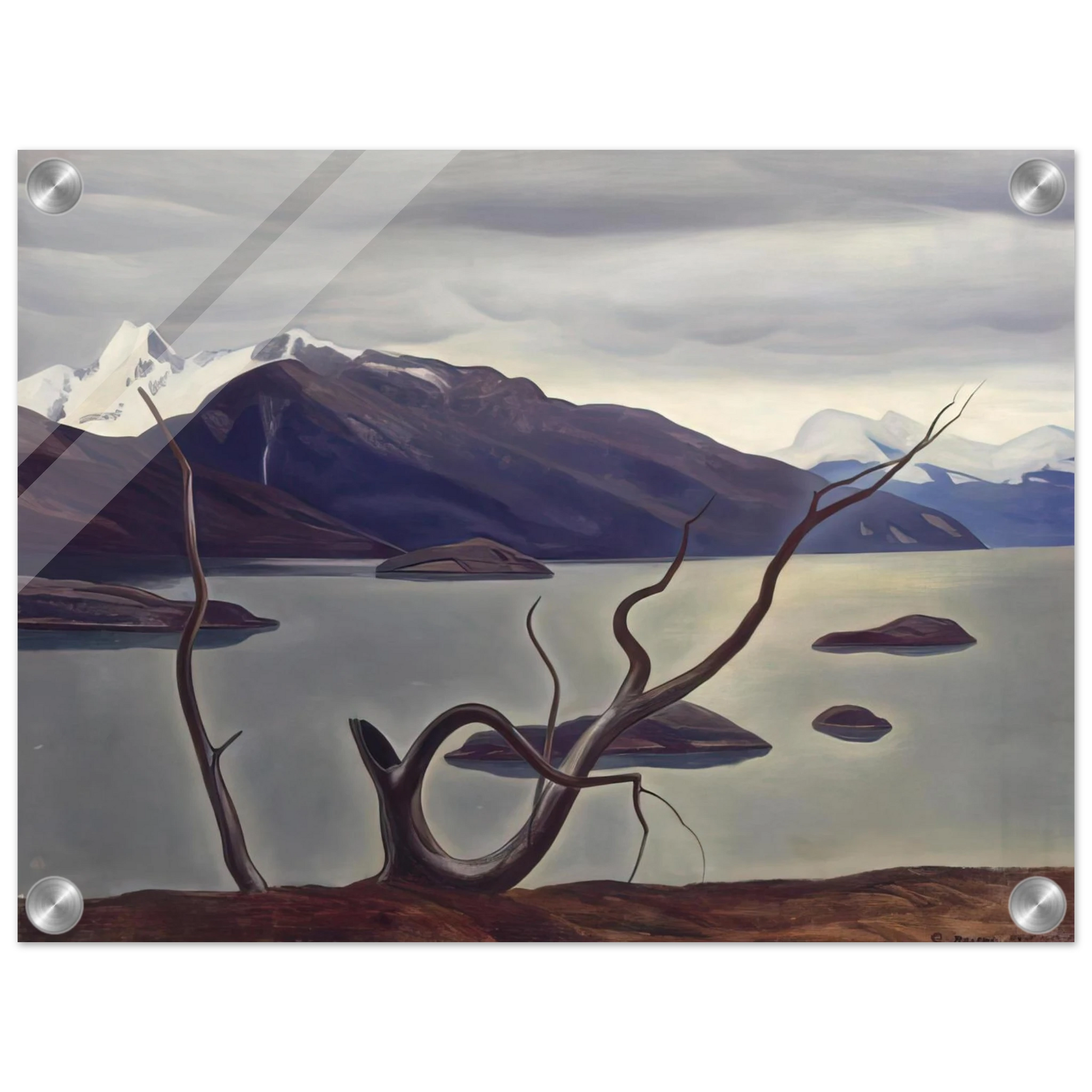 bfacb316-446d-4248-bea2-064d76c10eb4