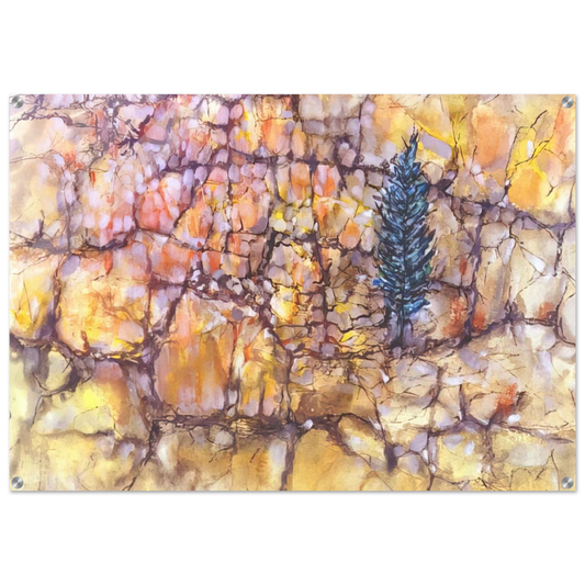 c1731e6c-6ecb-429d-84b6-f2de4ce53b9e