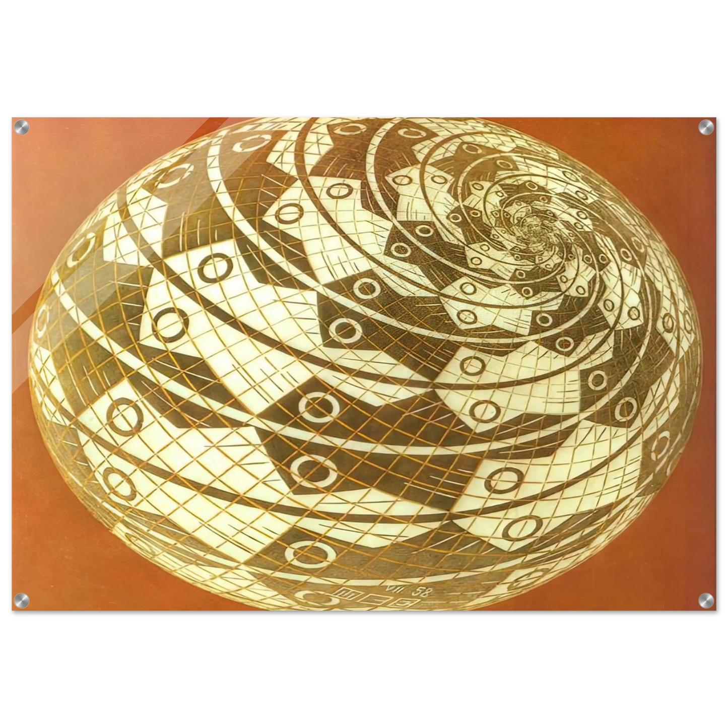 c2223e5b-8314-4cc7-b42a-49ecbf6d3553