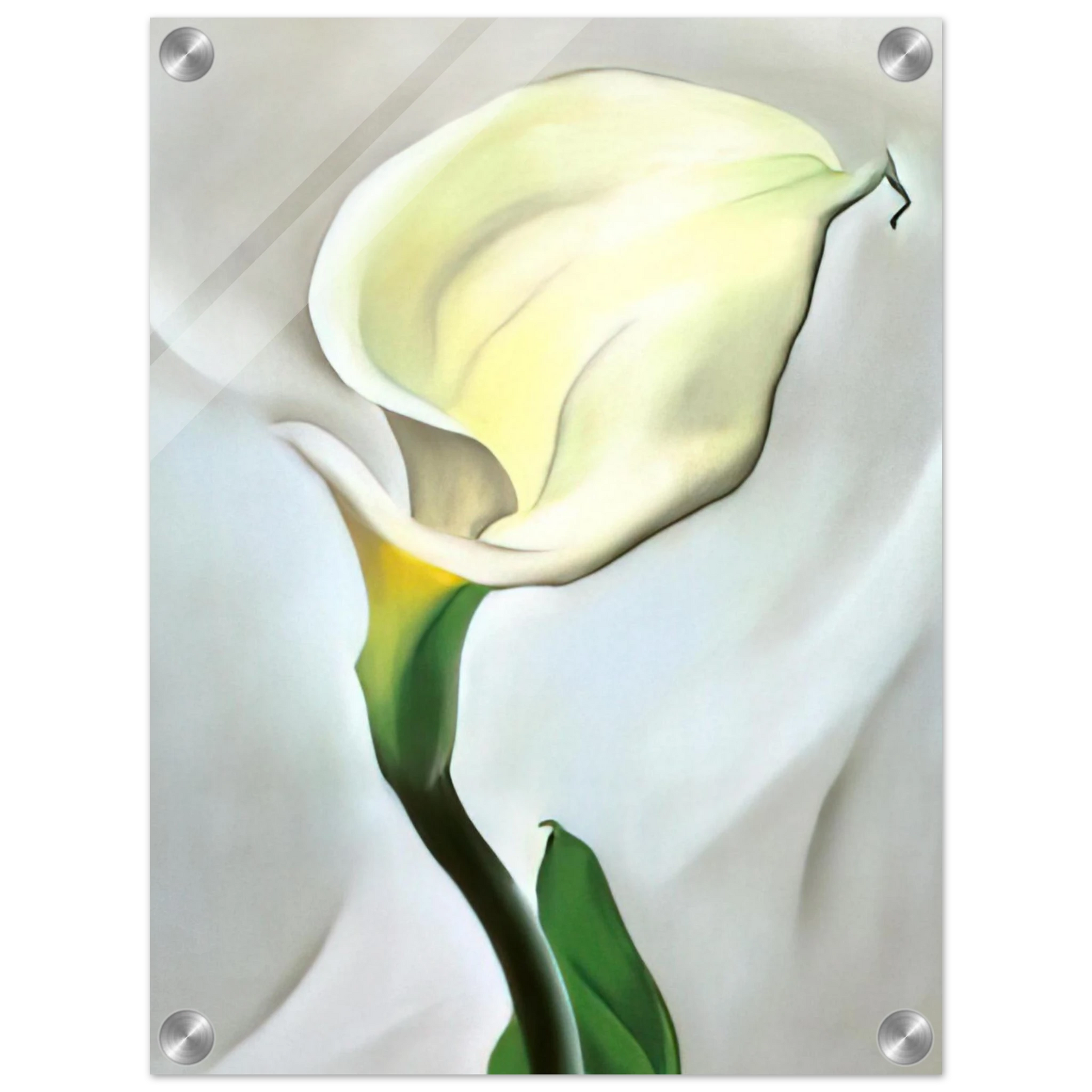 c2b881e4-4834-421a-a85d-1b6b6593b021