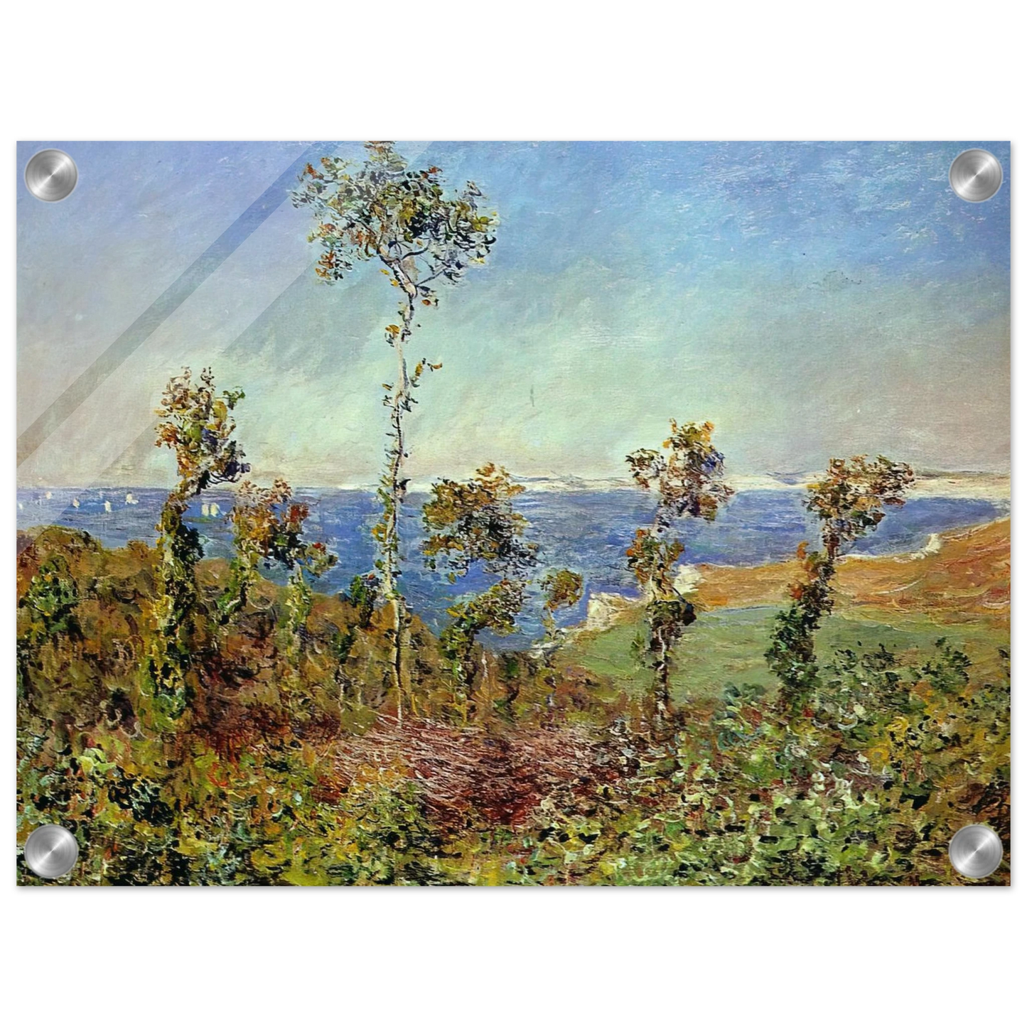 c3fec46c-da12-4a79-b6fe-75cb66243034