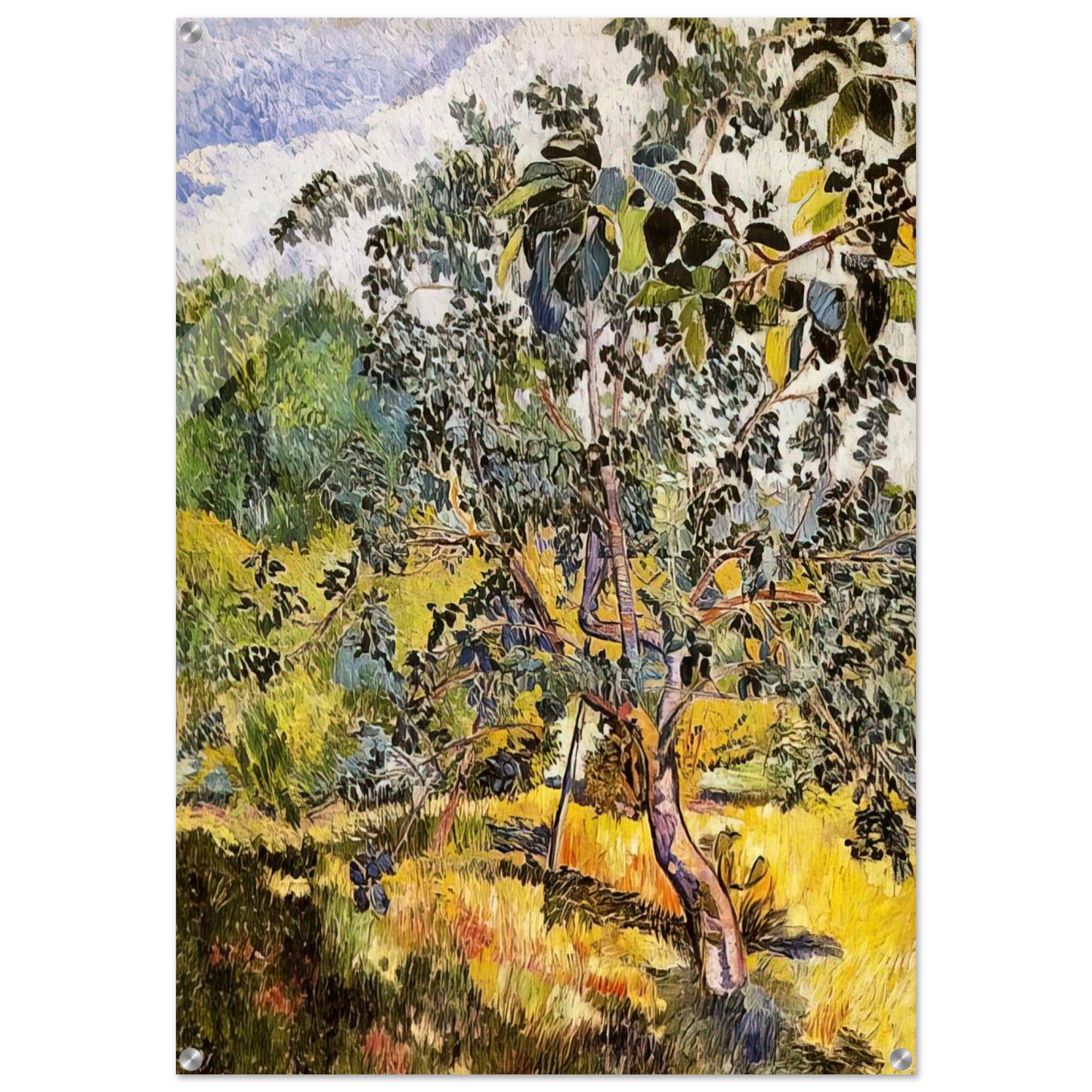 c427b55c-dcc5-4815-a28d-a20f9dd09524