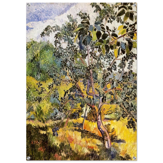 c427b55c-dcc5-4815-a28d-a20f9dd09524