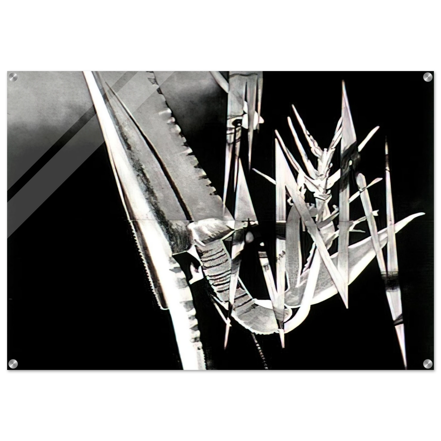 c66a7dde-45e7-4ba8-8bc3-8783690f2ee5