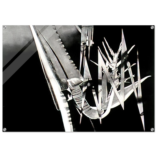 c66a7dde-45e7-4ba8-8bc3-8783690f2ee5