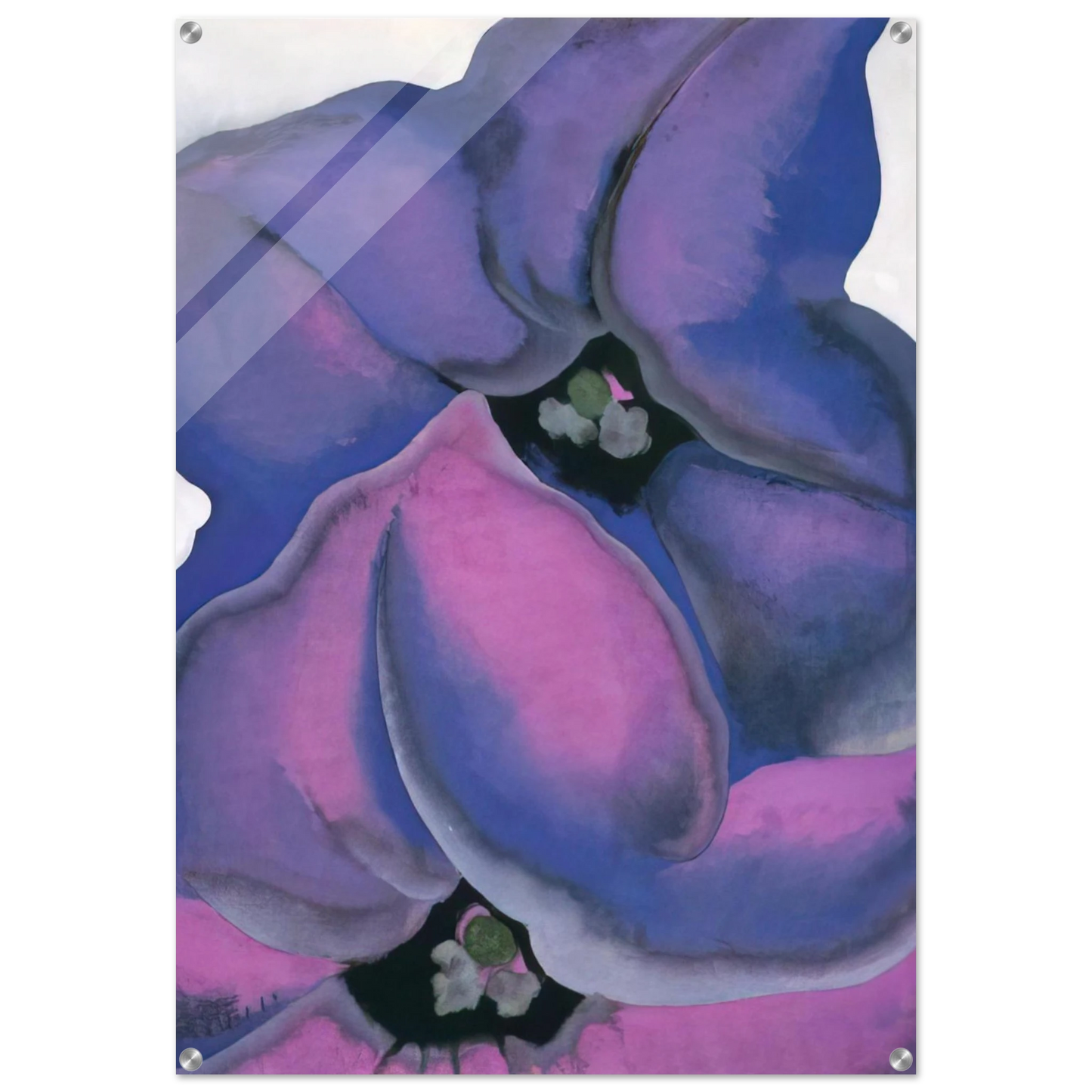 c6c9f8b5-b9fc-46dc-8430-29e99671b490