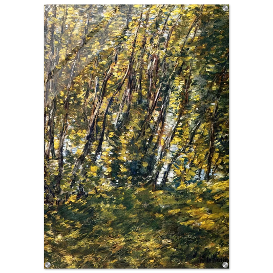 c70bffc2-7292-4a4a-8e02-ae4cc931413a