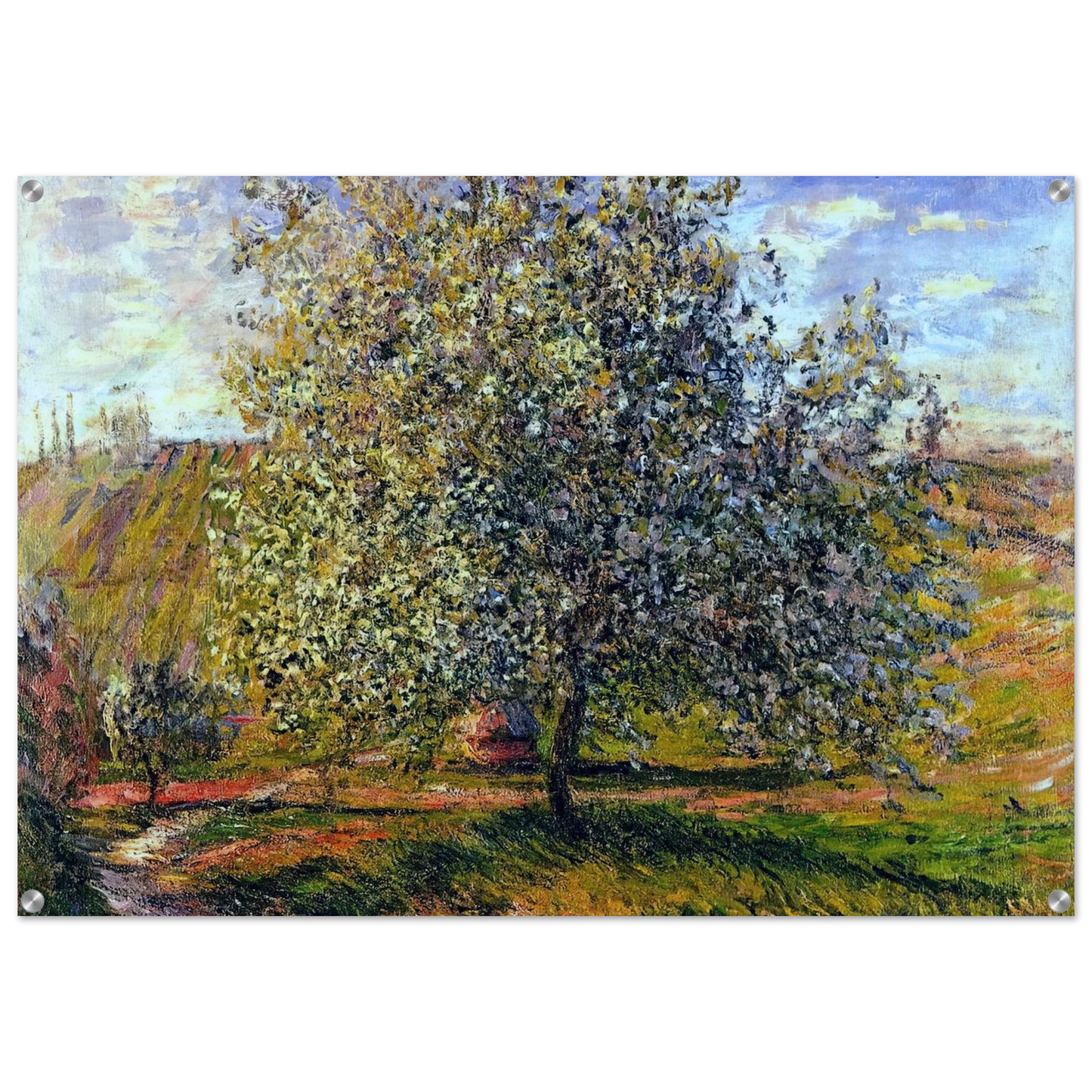 c7d942ef-8ceb-458c-b7c1-bb52854344f8