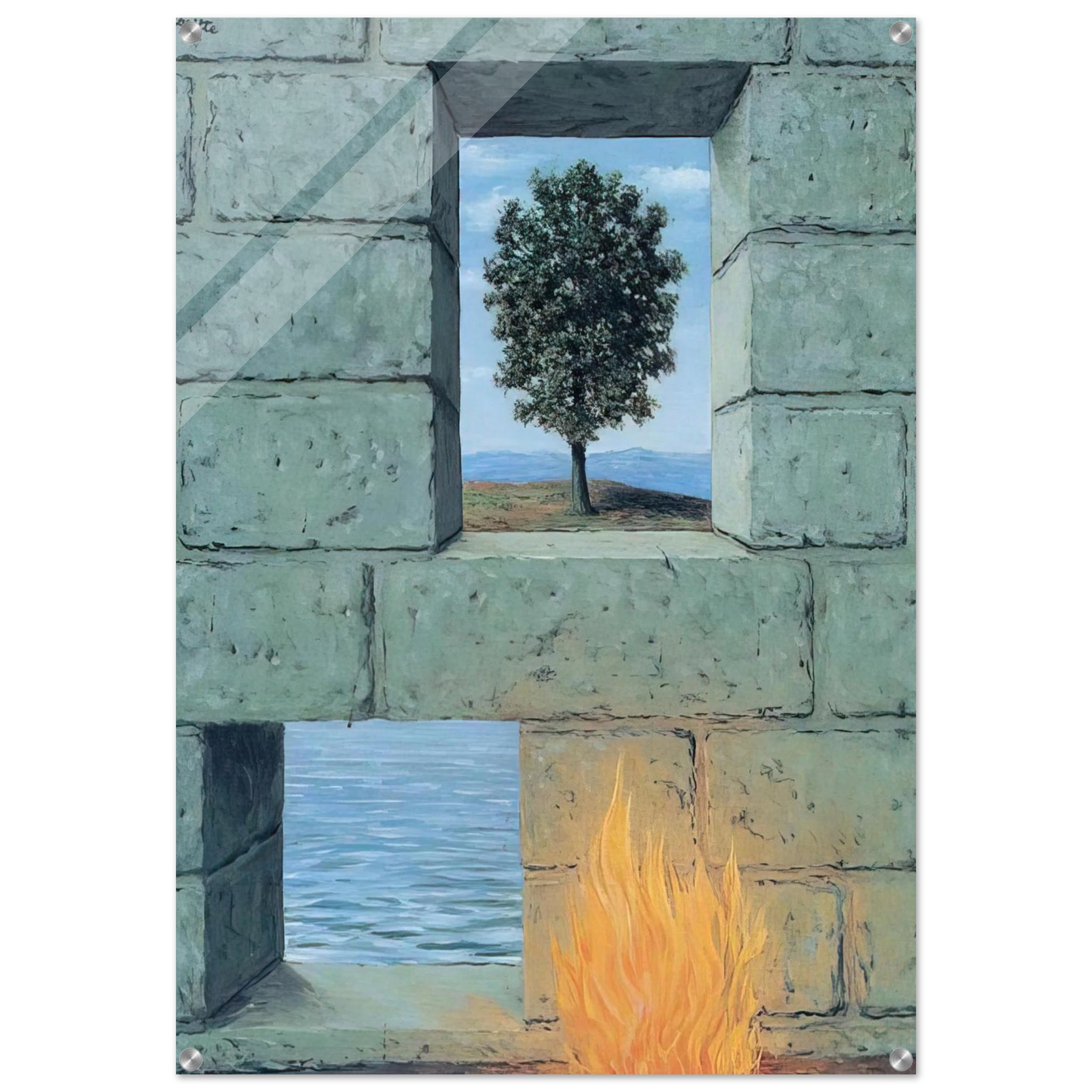 c8e95fd1-36be-4137-9303-f208fb93e579