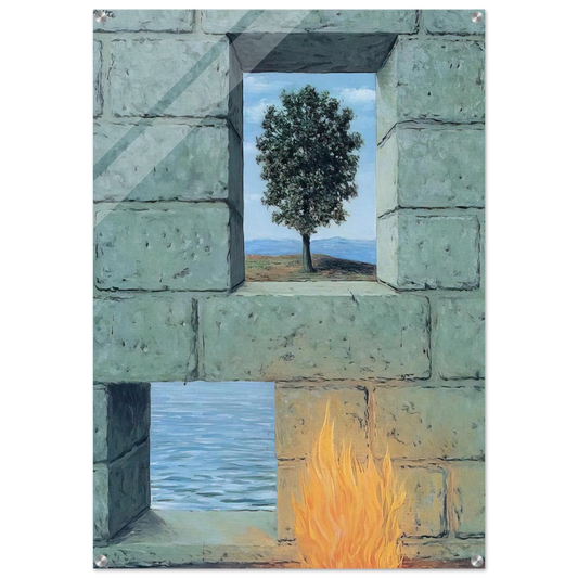 c8e95fd1-36be-4137-9303-f208fb93e579