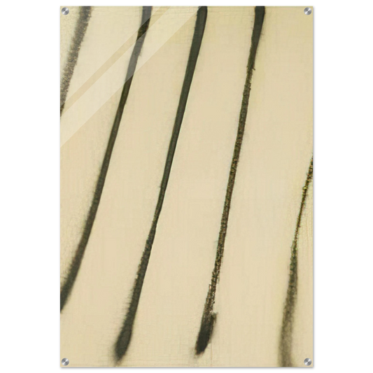 c9742e2a-2d16-46a1-a789-a32e310896d8