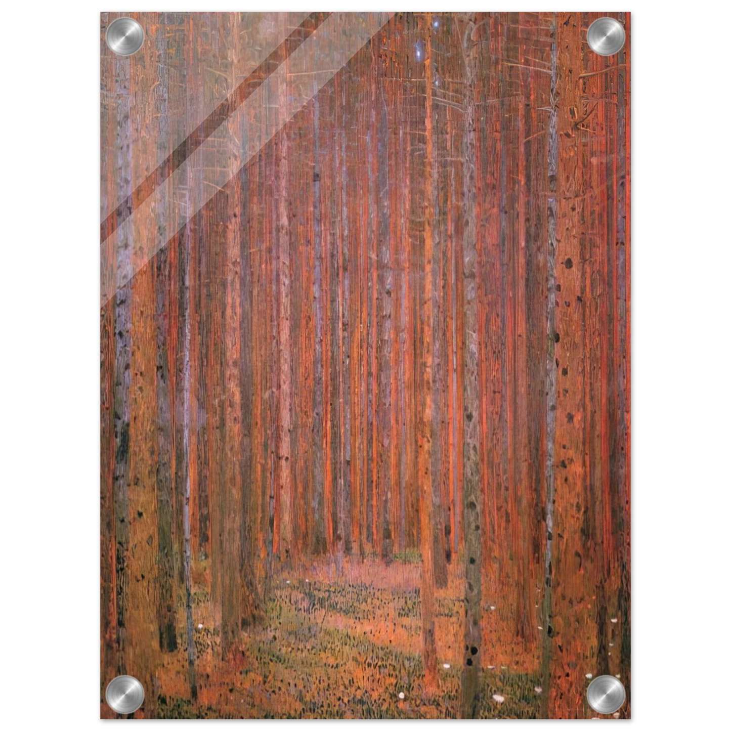 ccb5505b-7baa-4eb9-97dc-925e668d60ed