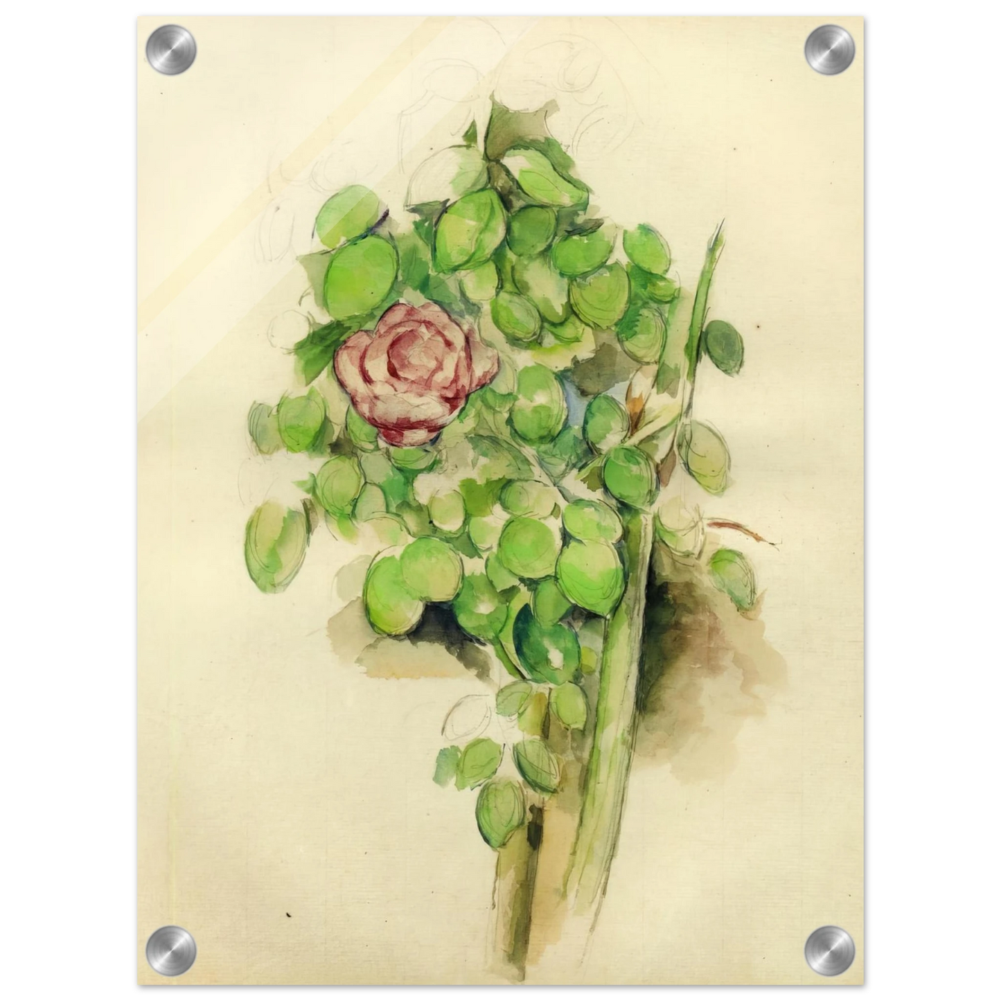 cdccc2df-cecf-4536-84a5-f8dda69d6f67