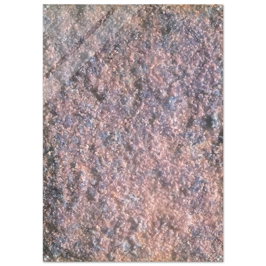 ce24b14a-6c82-4ff3-9eed-9904c6f4e1f8