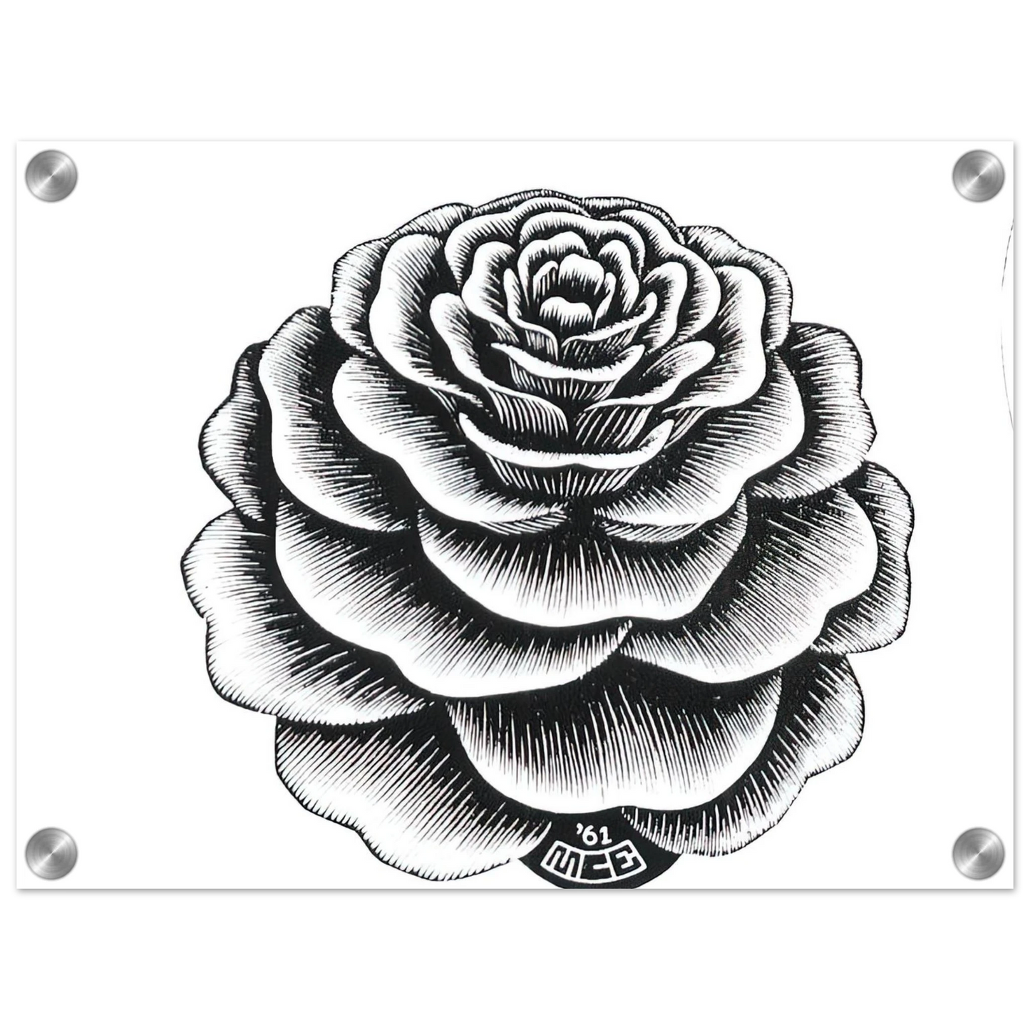 cf4a4b1d-b3d9-456a-ae6c-a9c45257b4b7