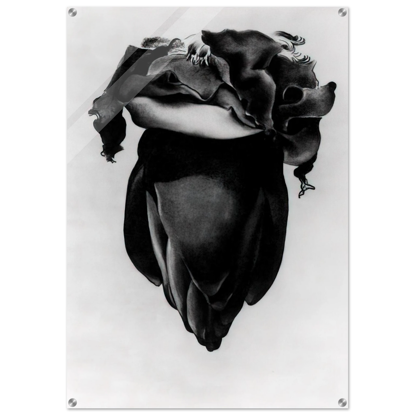 cf4b12dd-ba35-41df-a1a3-c689486c6d24