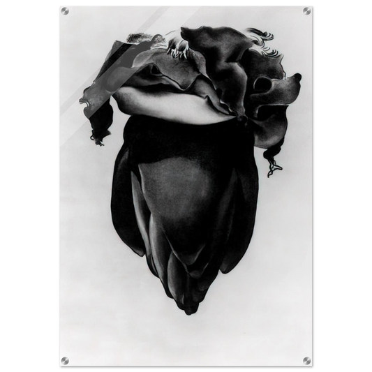 cf4b12dd-ba35-41df-a1a3-c689486c6d24