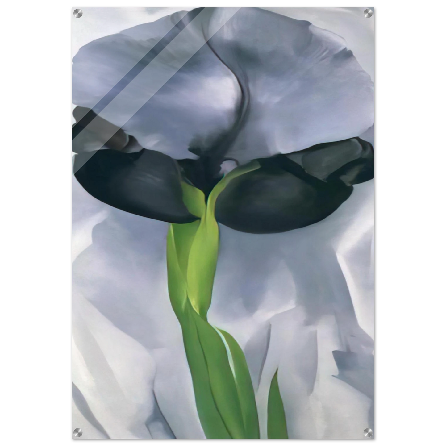 cf6c45ee-2d88-4caa-bed2-889fbb51598a