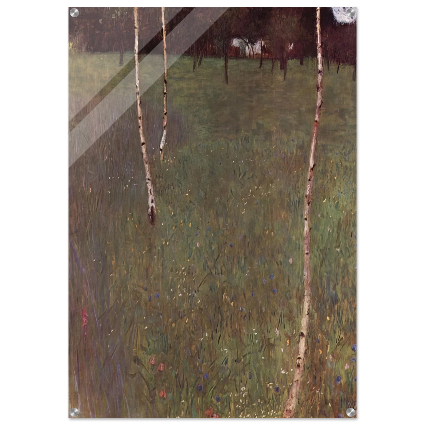 cf7219c4-14fd-415e-9bb8-494293106029