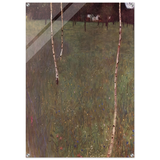 cf7219c4-14fd-415e-9bb8-494293106029