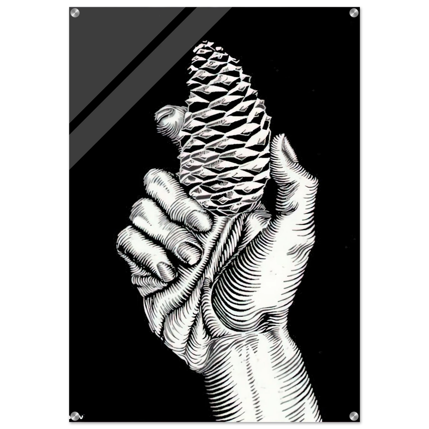 cf86e20e-45f0-4a62-8d1d-606625df46a9